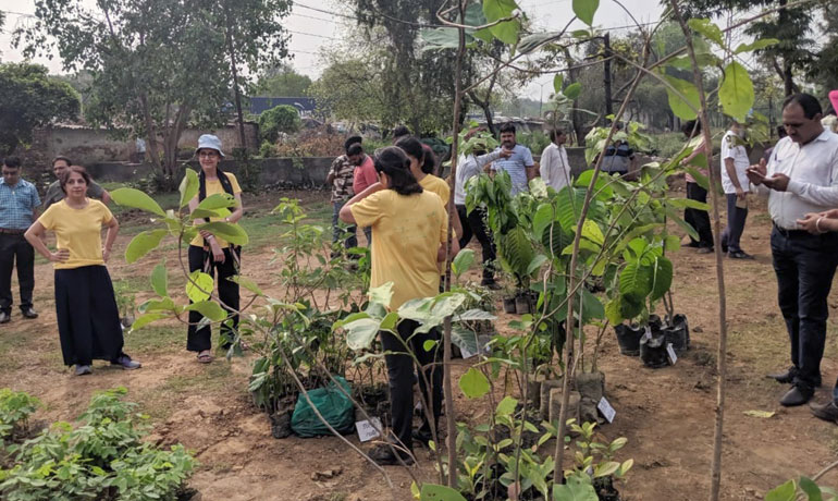 Tree Plantation Drive Promotes a Greener Future